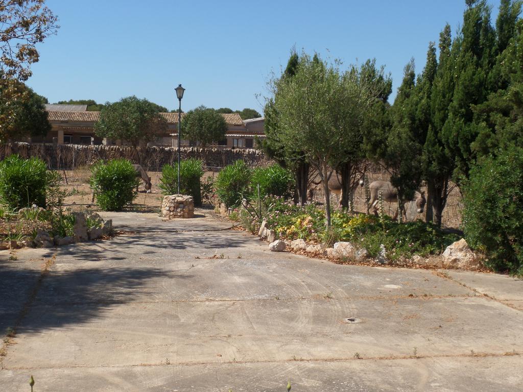 Sa Bassa Crua Agroturismo Sa Torre ภายนอก รูปภาพ