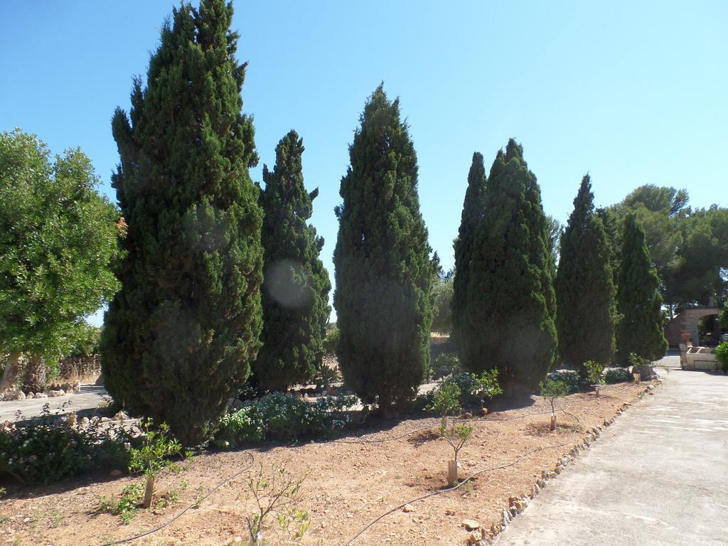 Sa Bassa Crua Agroturismo Sa Torre ภายนอก รูปภาพ